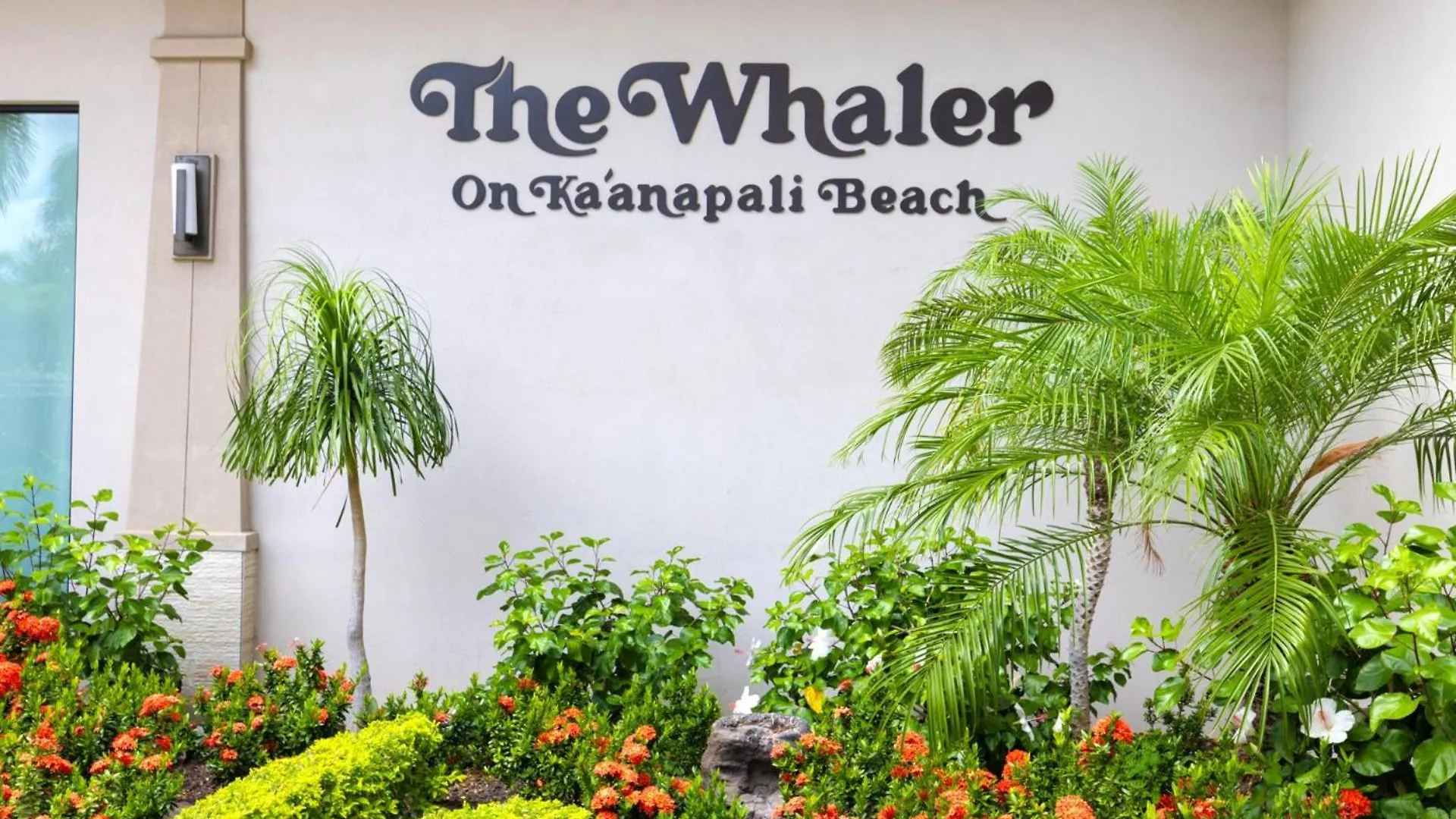 Kbm Resorts Free Car The Whaler Wh1-615 Free Rental Car Included With This Stunning Beachfront Studio Kaanapali Apartamento