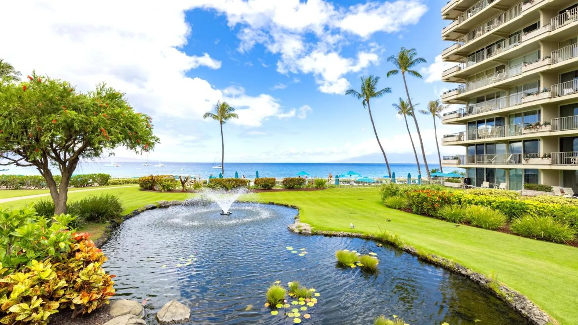 Kbm Resorts Free Car The Whaler Wh1-615 Free Rental Car Included With This Stunning Beachfront Studio Kaanapali